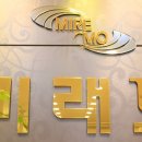 더미래모