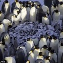 중1동 행정복지센터 이미지