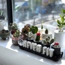 애프터 핏 이미지