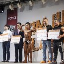 노비스 PT 이미지