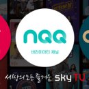 스카이펫