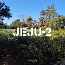 신화콤프레샤 | N번째 제주 여행 - 2025년 마지막 여행. 크리스마스, 신화월드 랜딩관