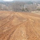 신니면사무소 이미지