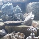 종명랜드 이미지