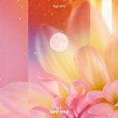 꽃길로Flower 네이버블로그
