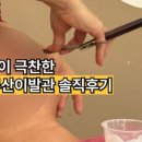 호텔스타루비
