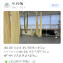 [초급] 생활요가 | 연신내플라잉요가 리커버리 회복운동 스트레칭 유연성 키우기