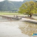 ㈜느티나무 이미지