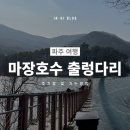출렁다리(4) | 파주 마장호수 출렁다리 산책 후기ㅣ주차 꿀팁부터 카페 레드브릿지까지 나들이 코스 총정리