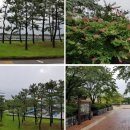 북부수자원생태공원 이미지