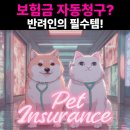 키티앤퍼피 | 2025 펫보험 완벽정리｜반려동물 실비보험·자동청구 펫보험 비교 총정리