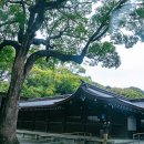 일본 메이지신궁과 요요기공원 이미지