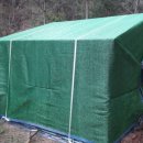 황금빛농장 이미지