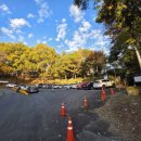 하모 인 진주 이미지