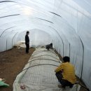 병태농장 이미지