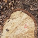 은평-067 이미지