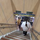임*호 - 미추홀구 장천로57번길 22 | 씨플라워호 좌석, 멀미, 대마도 씨플라워호, 면세, 가격, 후기, 매점, 소요시간