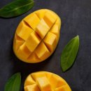 세탁친구 이미지