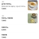 안나애견 이미지