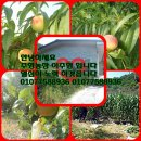 주형농장 이미지