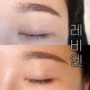 Le bien (레비엔)