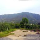 사과나무부동산중개사무소 이미지