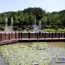 조령산자연휴양림 이미지