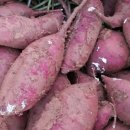 선영농장 이미지