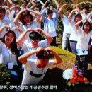 동채 이미지