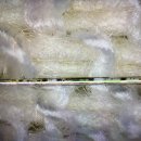 전북대학교 유연인쇄전자전문대학원 이미지