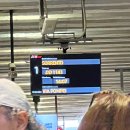 1984나폴리 꽃반지점 | [꿀달🍯🌝-16] 낯설고 거칠어도 끝내 사랑하게 되는 도시, 나폴리 (이탈리아 남부 여행지 추천)