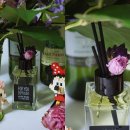 캔들마노 이미지