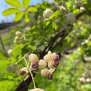 능북초등학교 이미지