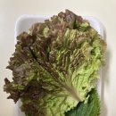 털보소막창 | 태백 맛집 배달 시작 털보소막창!