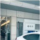 강릉 해미가 물회 맛집 평일 대기 없이 즐긴 광어물회 2인 세트 갓성비 후기