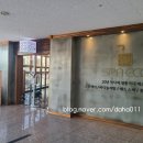 스파에코 옥수