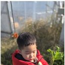 도담아이어린이집 이미지