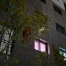 출석하세용~ 이미지