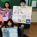 청봉초등학교 이미지