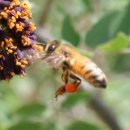 꿀벌아 고마워 공인중개사사무소 이미지