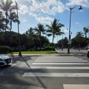 선샤인 동물병원 | 하와이여행 아기랑 5일차: 호놀룰루동물원