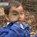 숲이있는 어린이집 이미지