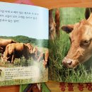 누리소농장 이미지