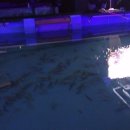 락시클럽 이미지