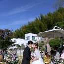 물꽃정원 이미지