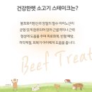건강한펫 티스토리