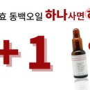 라비네일 이미지