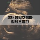 짱짱이네 | 임신 23주 짱짱이 2차 정밀 입체 초음파 | 정밀초음파 시기 실물 후기 비용