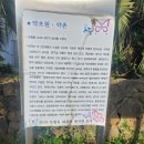 영천동 법호촌 이미지