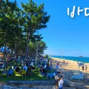 바다정원 이미지